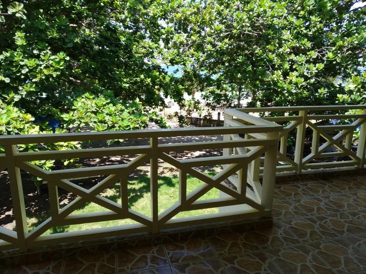 Aramara 2*